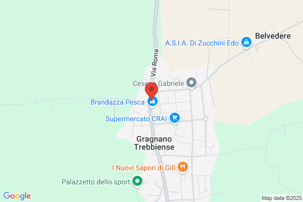 L'Orafo di Opizzi Edoardo