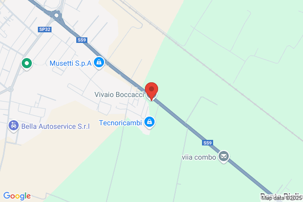 Vivaio Boccacci