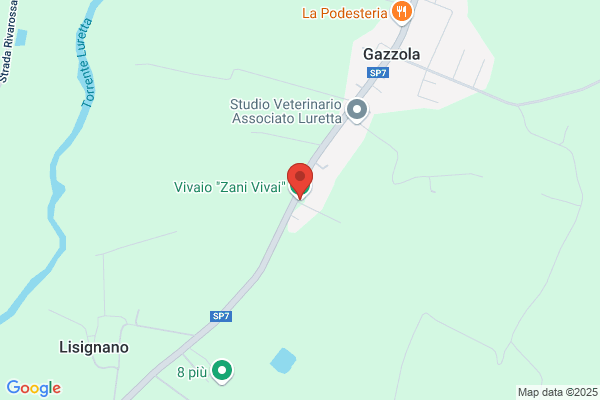 Zani Vivai