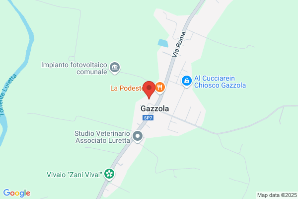 Dottor Palmas Raimondo
