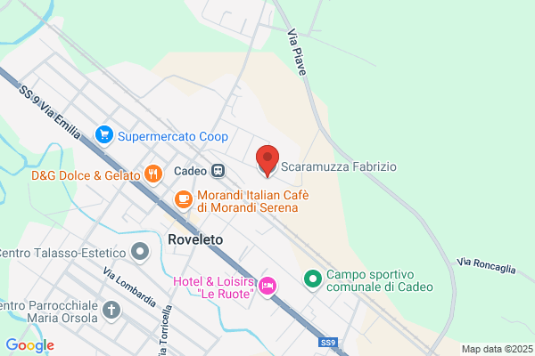 Scaramuzza Fabrizio