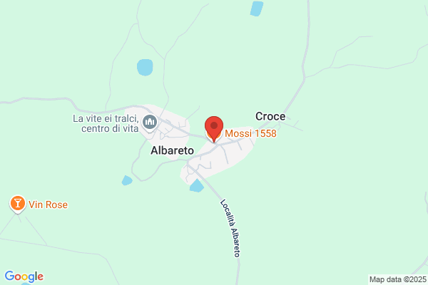 Mossi 1558
