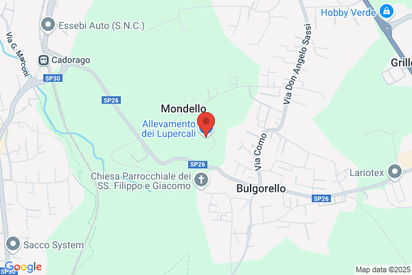 Allevamento dei Lupercali