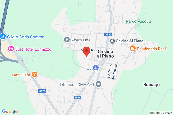 T.S. Lario