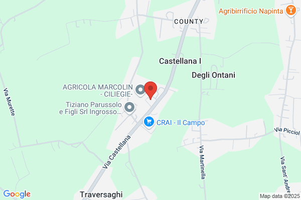 Cavallin giuseppe