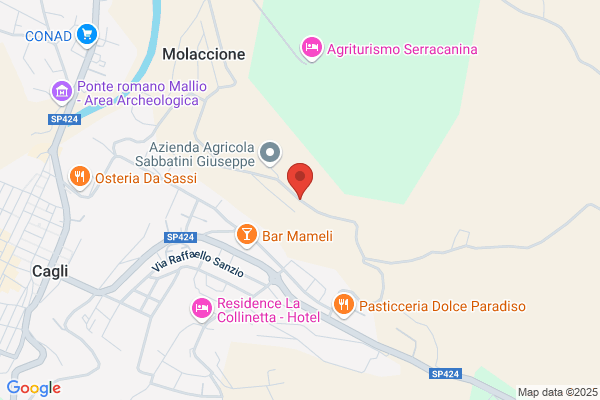 Magnoni velleda