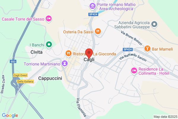 Paradisi domenico