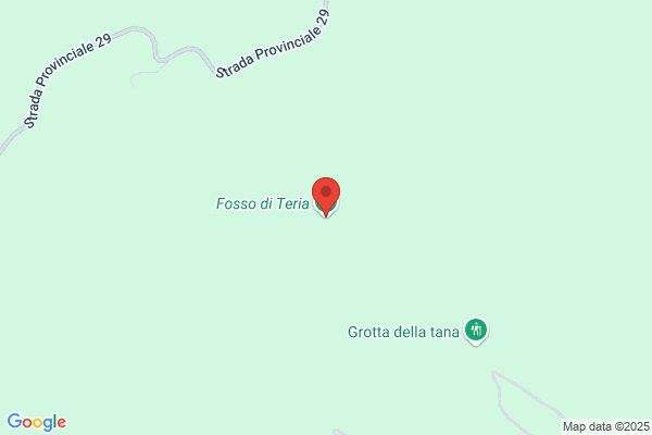 Faraoni Elvio