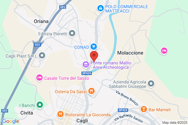 Martelloni giovanni