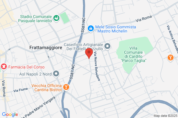 Palladino Nicola