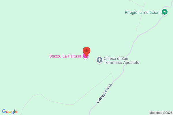 Palitta sergio