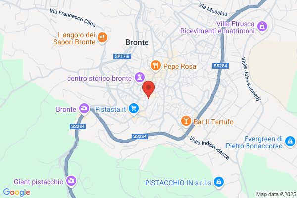 Brunetto Viaggi Srl