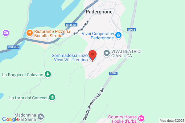 Sommadossi Enzo Vivai Viti Trentino