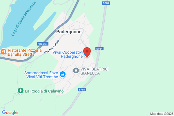 Vivai Cooperativi Padergnone