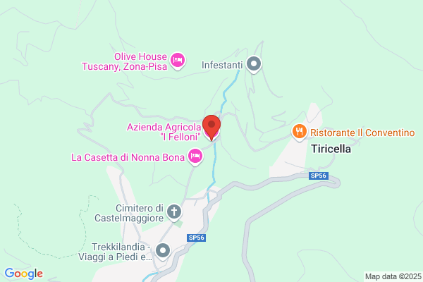 Azienda Agricola "I Felloni"
