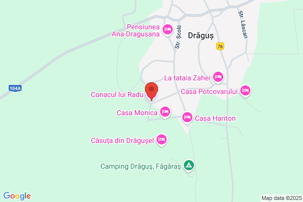 Fagaras Dr.Octavian Radu