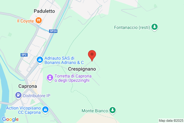 Fattoria Di Crespignano Di Tellini Elio