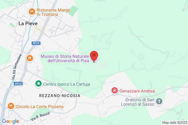 Museo Di Storia Naturale E Del Territorio/