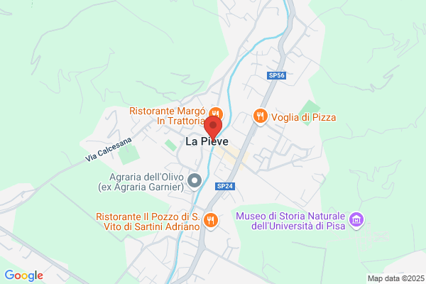 Panetteria Bolognese Di Morganti Cinzia