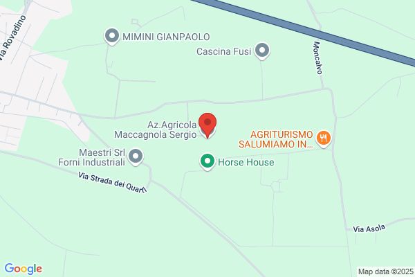 Maccagnola alcide