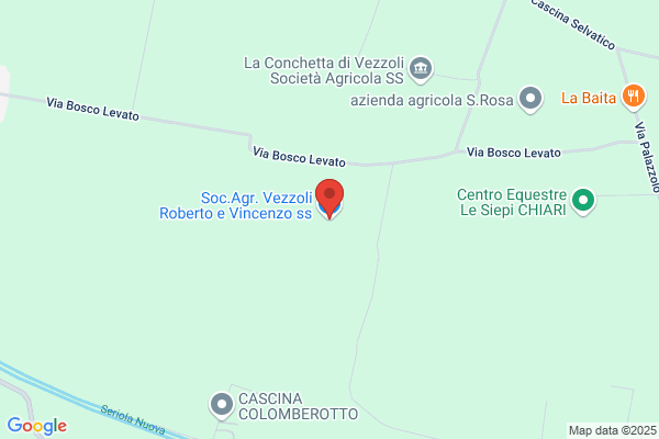 Vezzoli francesco