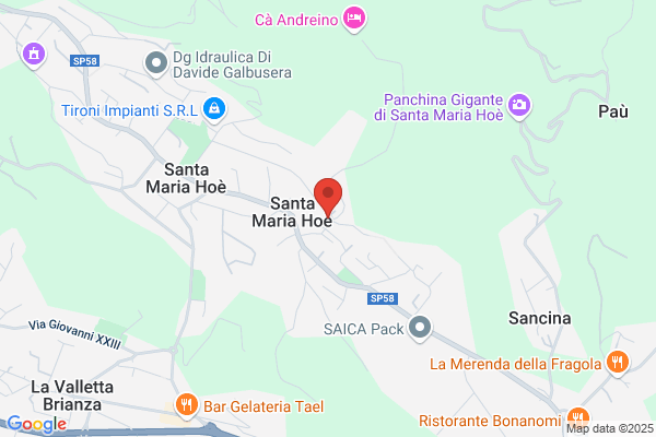 Pizzagalli maria