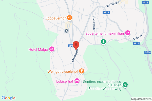 Pichler markus