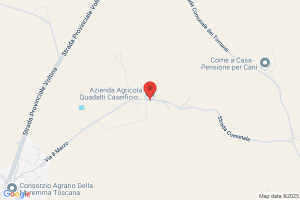 Quadalti adelmo