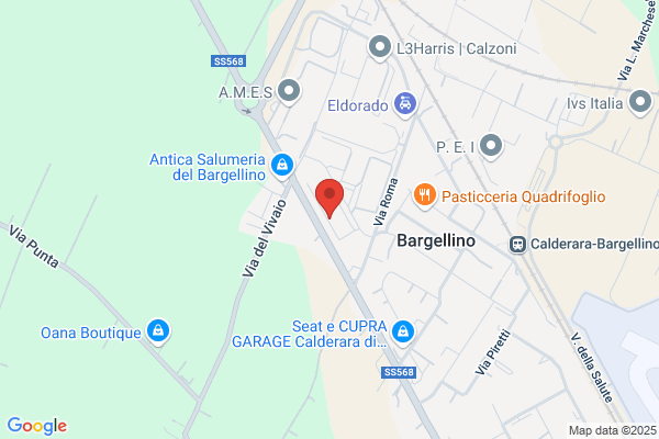 G.S.G. S.A.S. Di Tamburini Massimo E C.