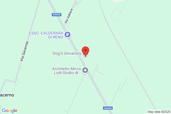 Dogs University Snc