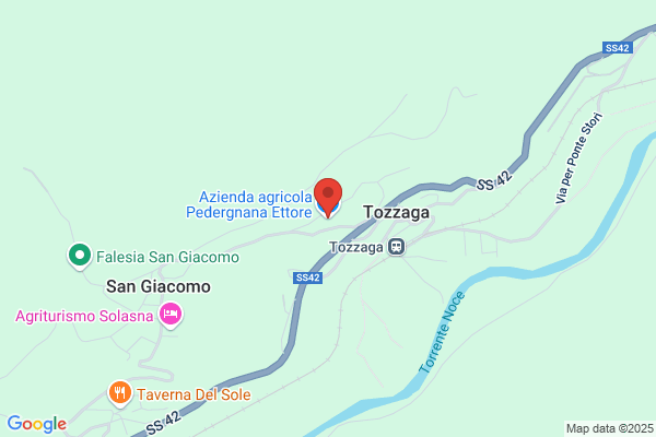 Pedergnana tullio
