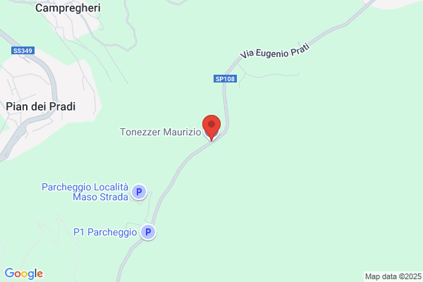 Tonezzer maurizio