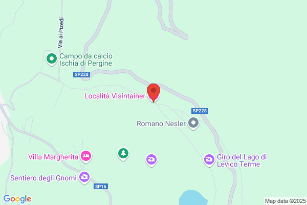 Visintainer riccardo