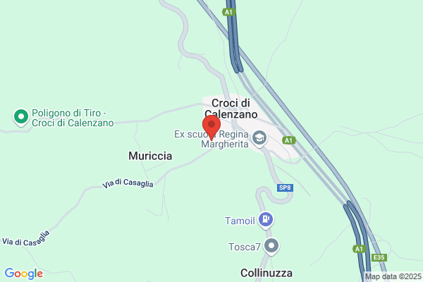 Vignali nello