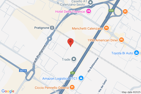 Thesaura Srl