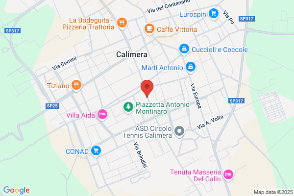 Luchena arnaldo (Dr.)