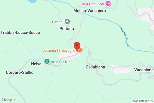 Municipio