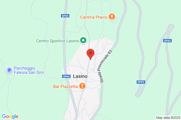 Lusona paolo (Dr.)