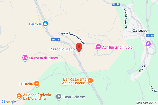 Rizzoglio Mario