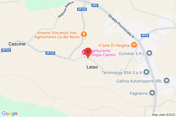 Borelli Impianti srl a socio unico