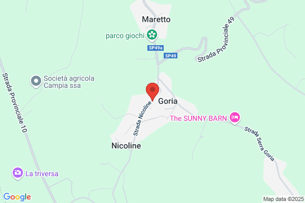 Impresa Edile Amerio