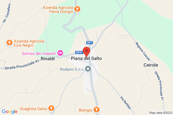 Meschiati claudio