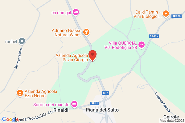 Pavia      Giorgio