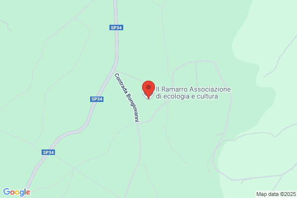 Il Ramarro