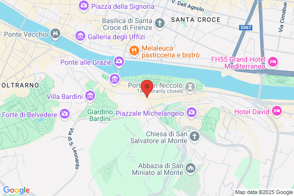Gatto Nicolo