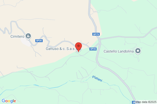 Gattuso Concetta