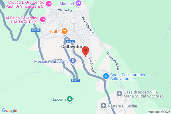 Palagonia vincenzo