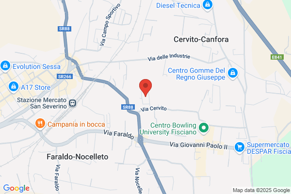 Fisciano Service 2000