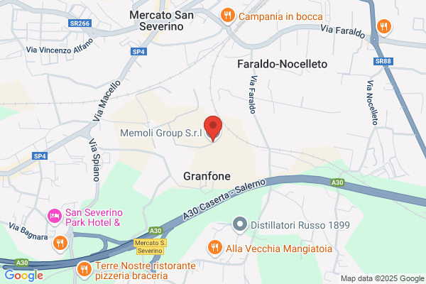 Memoli Group S.r.l.