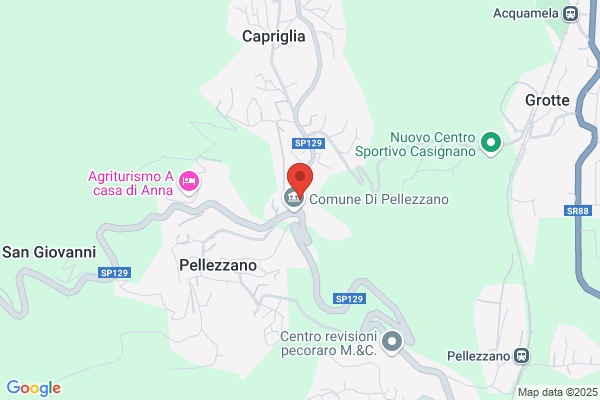 Vitale modestino